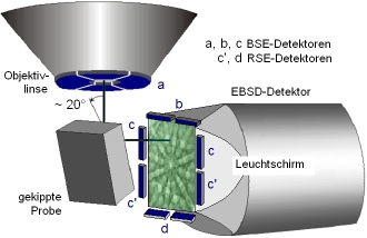 EBSD Multi-Array Detektor